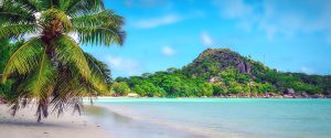 Сейшелски острови - семинар Райкият живот